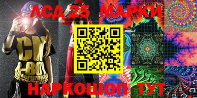шишки Заволжье