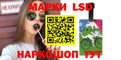 шишки Заволжье