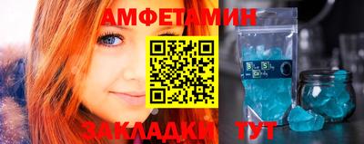 шишки Заволжье
