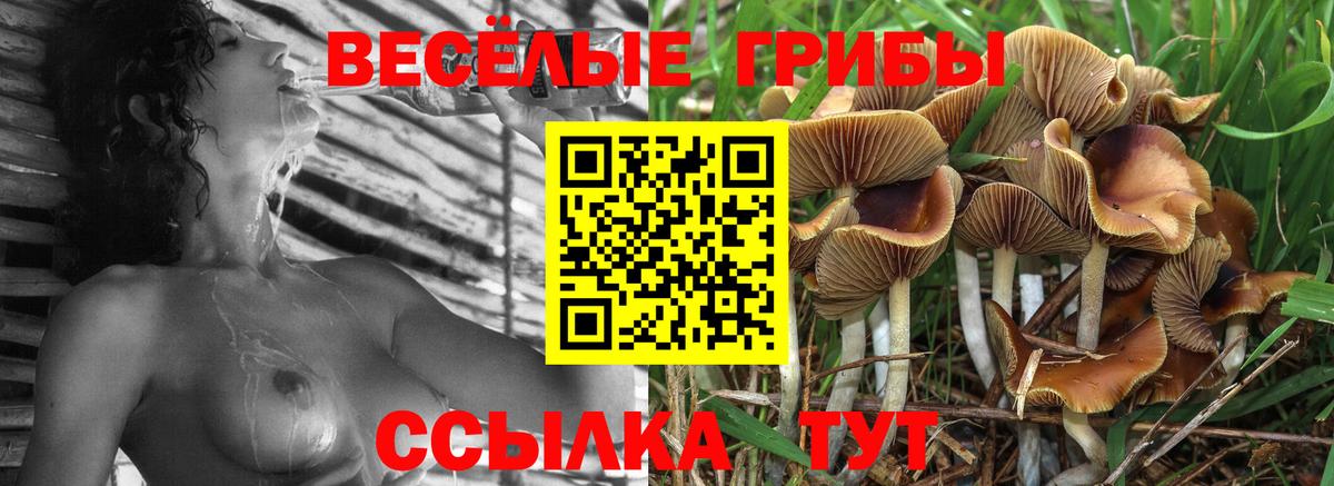 Псилоцибиновые грибы MAGIC MUSHROOMS  Вход с VPN  Майкоп 