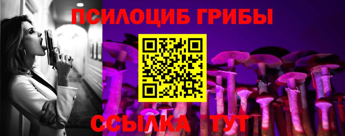 Галлюциногенные грибы Psilocybine cubensis Майкоп